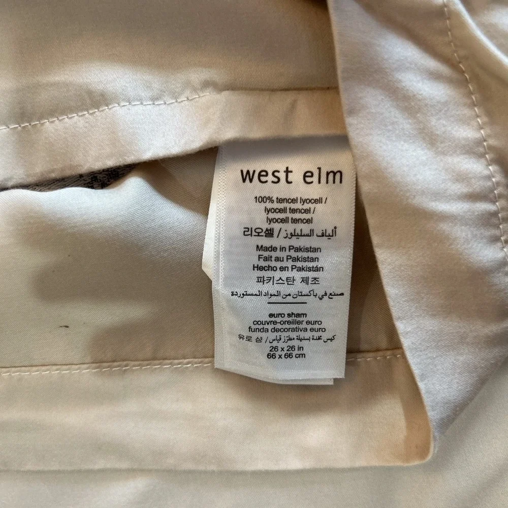 West Elm Euro Sham Silky TENCEL™ Striated in 